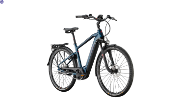 VICTORIA Elektro-Trekkingrad eManufaktur 11.7 Herren 50cm