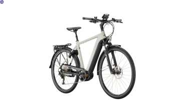 VICTORIA Elektro-Trekkingrad eTrekking 12.9 Herren 50cm grau