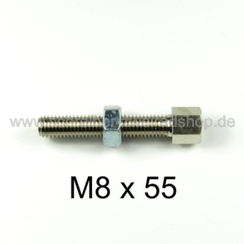 Stellschraube M8x55
