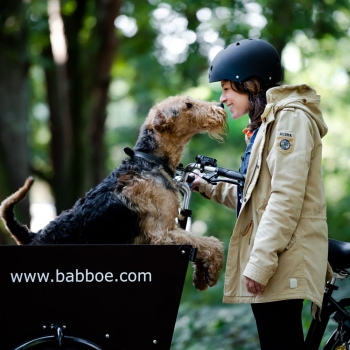 Babboe Dog-E 500Wh dunkelbraun