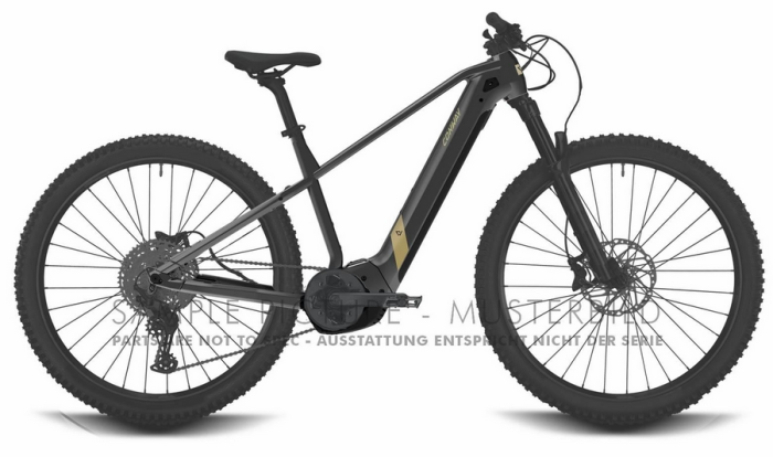 CONWAY Elektro-MTB Hardtail Cairon S 2.0 625 49cm grau metallic