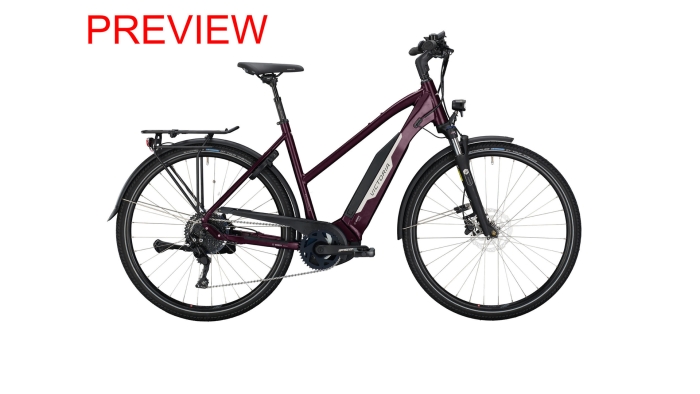 VICTORIA Elektro-Trekkingrad eTrekking 10.8 Damen 48cm violett