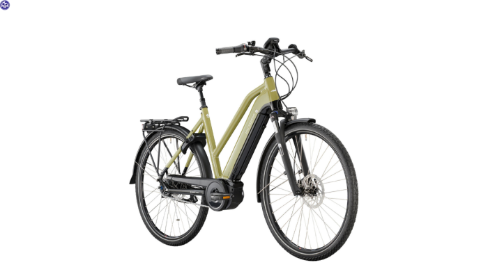 VICTORIA Elektro-Trekkingrad eTrekking 11.5 Damen 53cm green grey