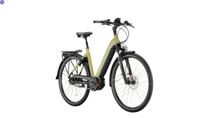 VICTORIA Elektro-Trekkingrad eTrekking 11.5 Damen 46cm green grey