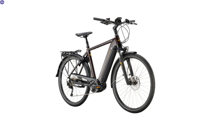 VICTORIA Elektro-Trekkingrad eTrekking 12.8 Herren 60cm braun