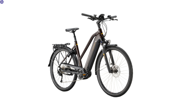 VICTORIA Elektro-Trekkingrad eTrekking 12.8 Damen 53cm braun