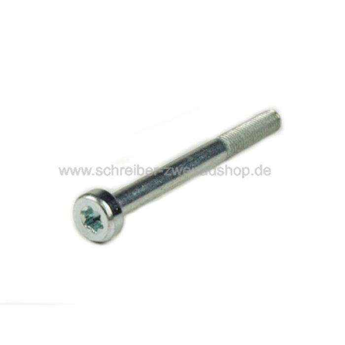 Schraube M5x55 Torx